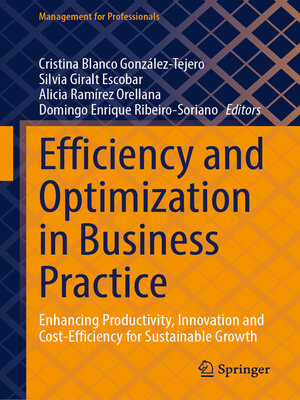 cover image of Efficiency and Optimization in Business Practice